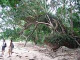 Filippine - Isola di Palawan - 13